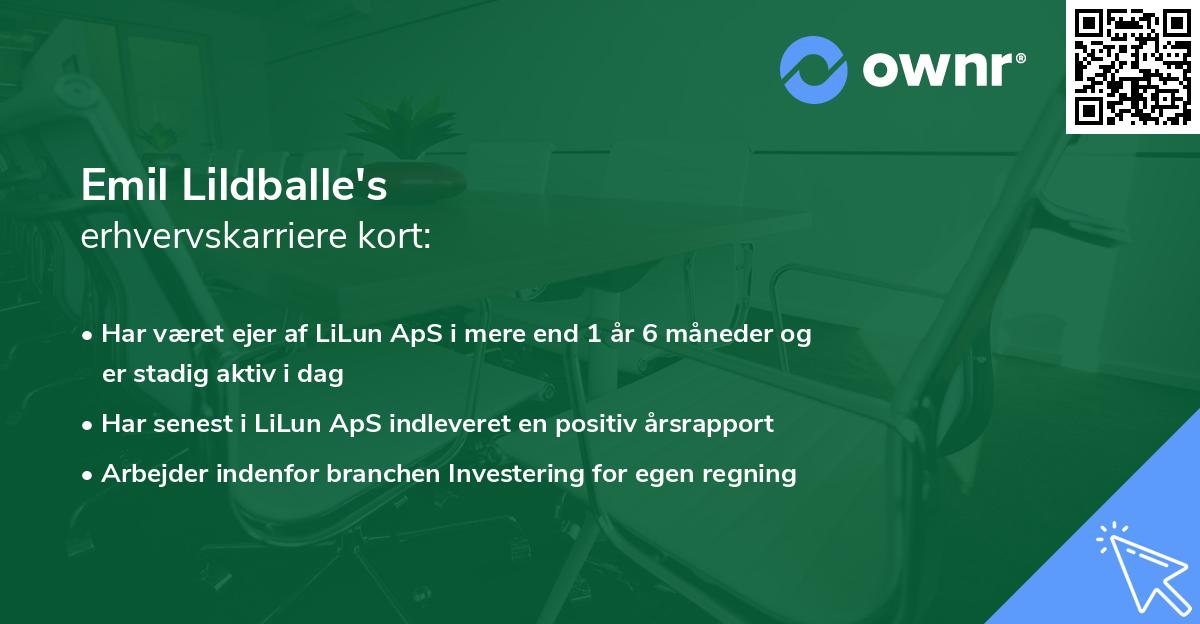 Emil Lildballe's erhvervskarriere kort