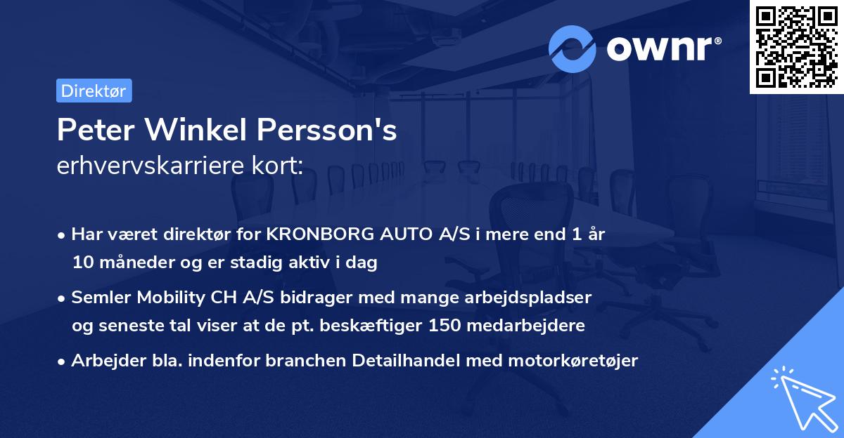 Peter Winkel Persson's erhvervskarriere kort