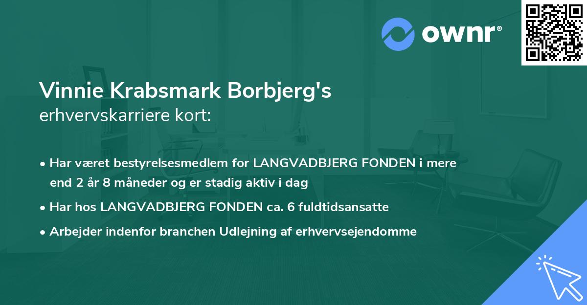 Vinnie Krabsmark Borbjerg's erhvervskarriere kort