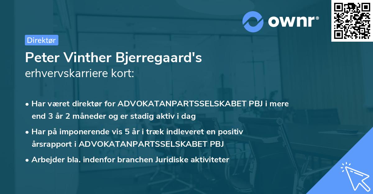 Peter Vinther Bjerregaard's erhvervskarriere kort