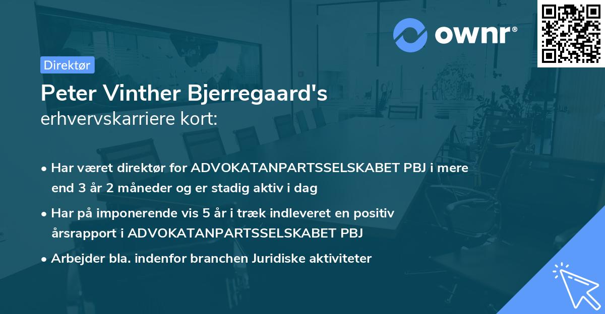Peter Vinther Bjerregaard's erhvervskarriere kort