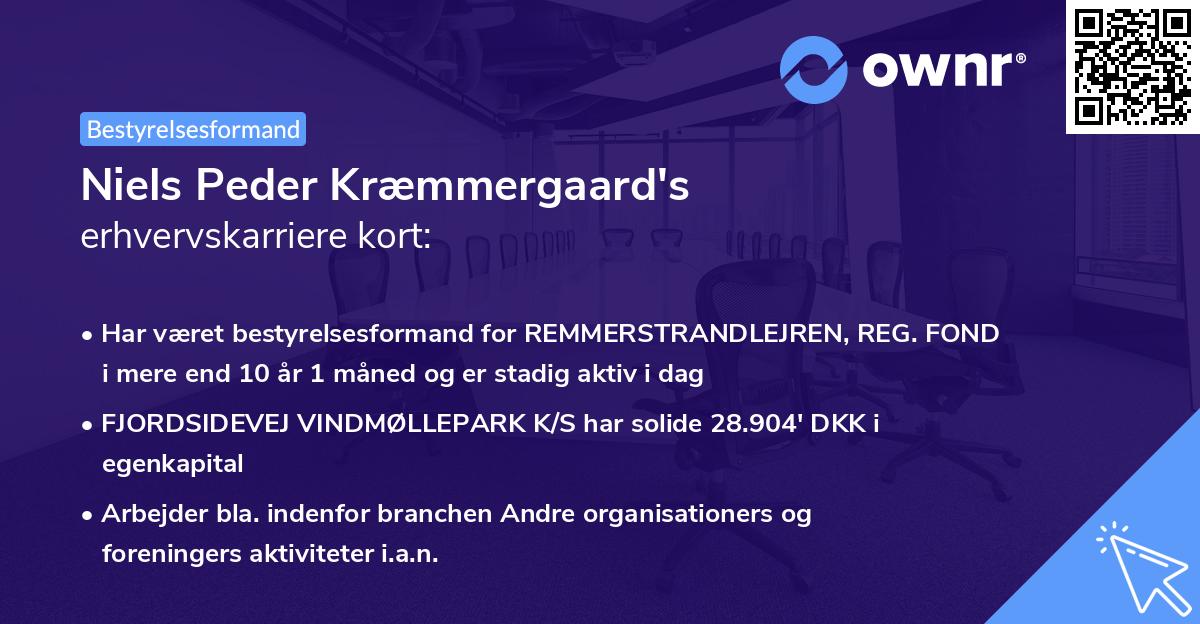 Niels Peder Kræmmergaard's erhvervskarriere kort