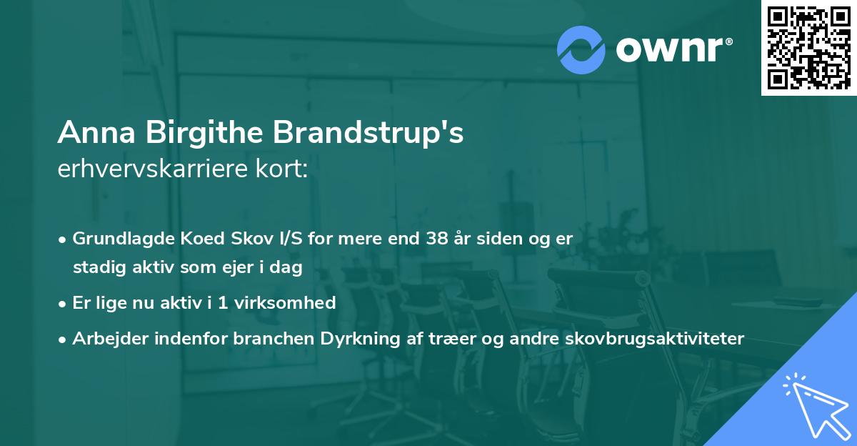 Anna Birgithe Brandstrup's erhvervskarriere kort