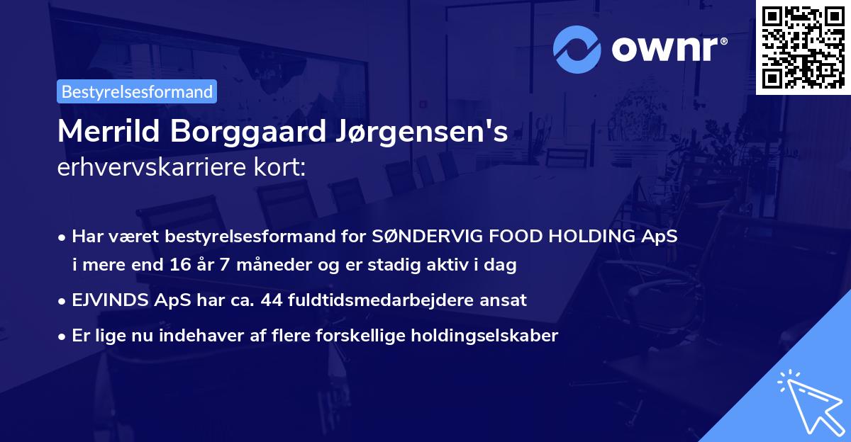 Merrild Borggaard Jørgensen's erhvervskarriere kort