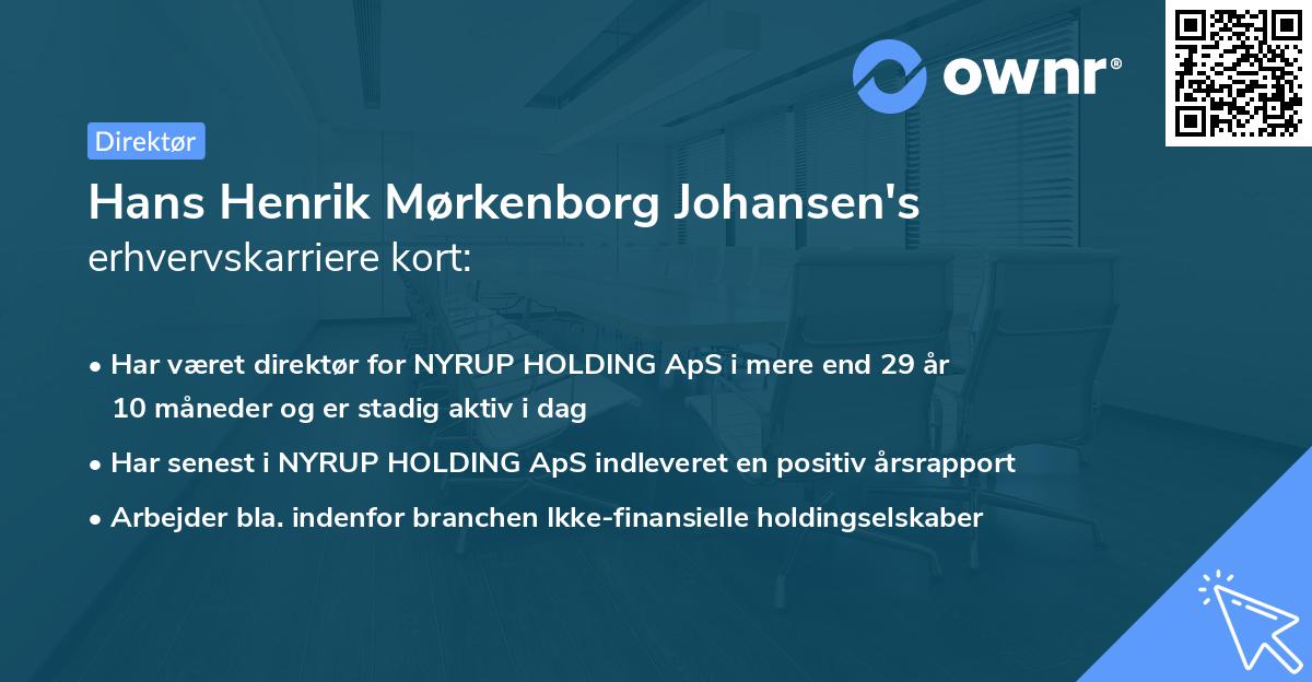 Hans Henrik Mørkenborg Johansen's erhvervskarriere kort