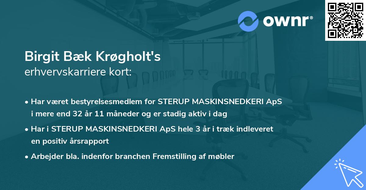 Birgit Bæk Krøgholt's erhvervskarriere kort