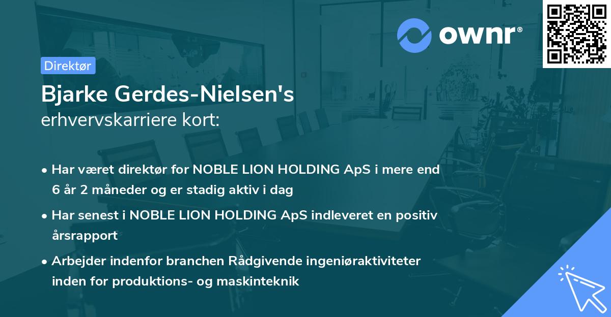 Bjarke Gerdes-Nielsen's erhvervskarriere kort