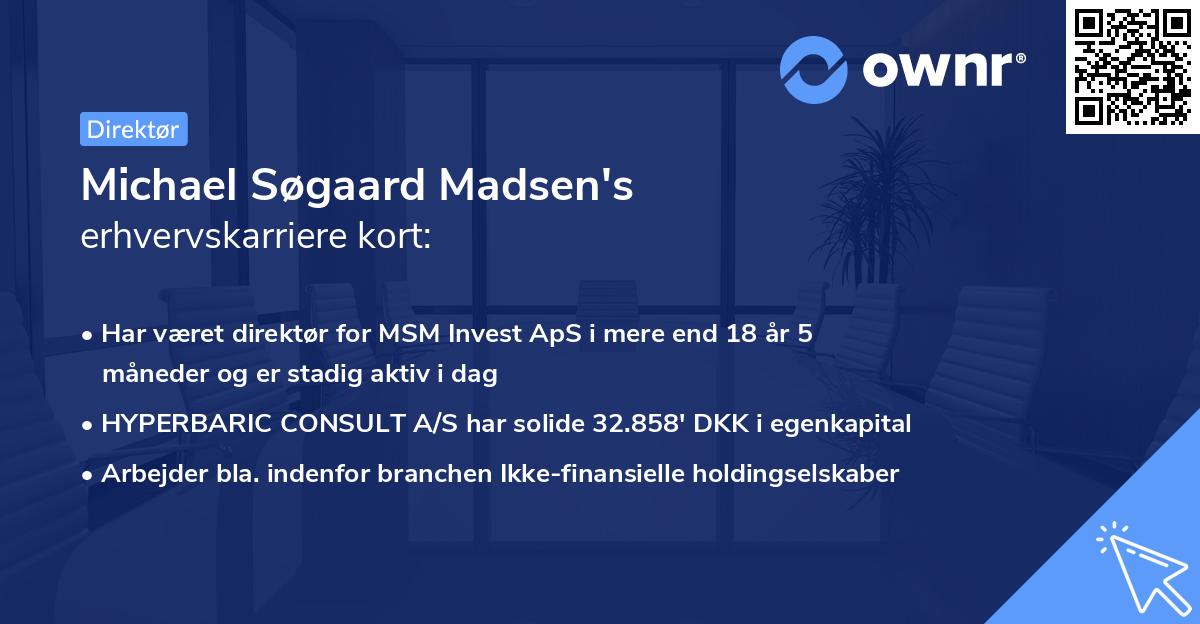 Michael Søgaard Madsen's erhvervskarriere kort