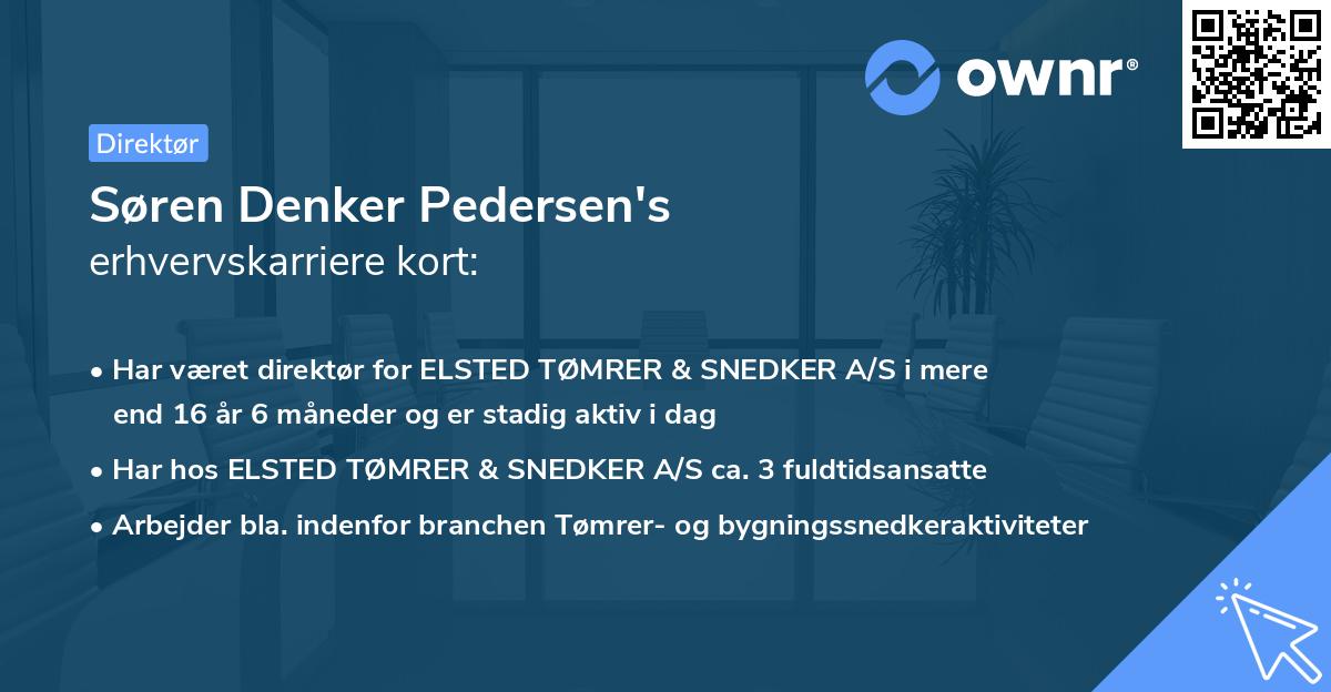 Søren Denker Pedersen's erhvervskarriere kort