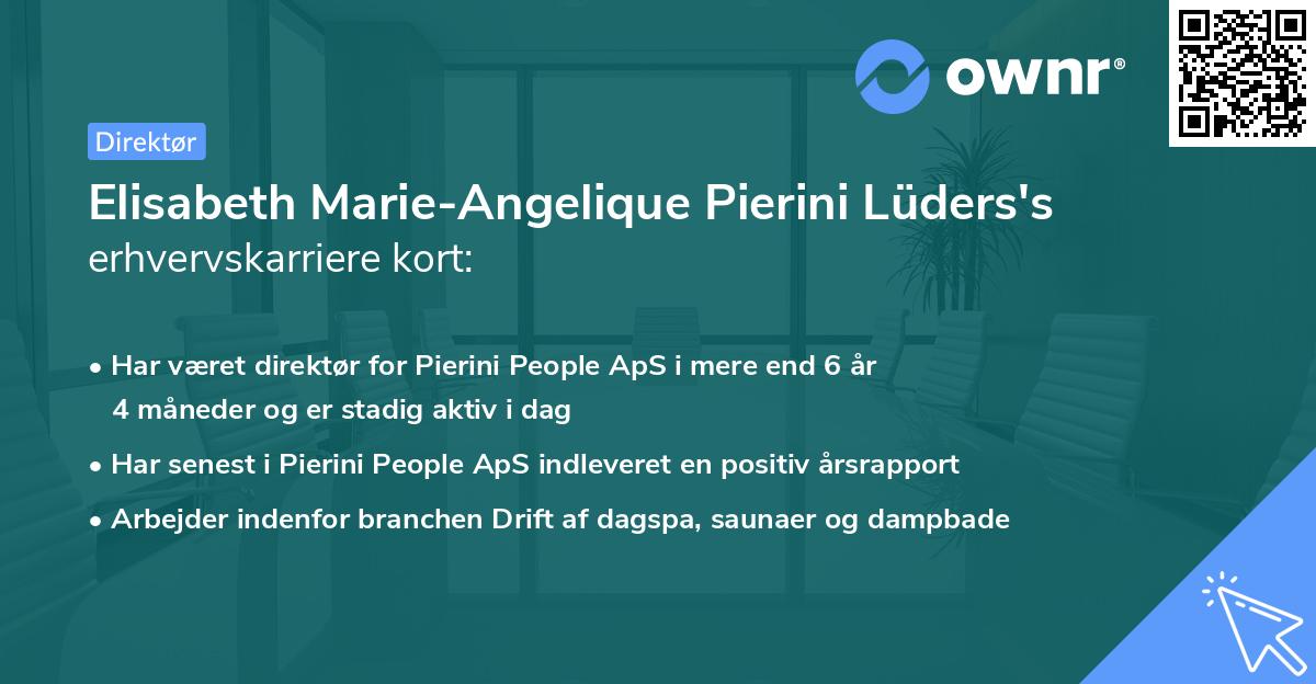 Elisabeth Marie-Angelique Pierini Lüders's erhvervskarriere kort