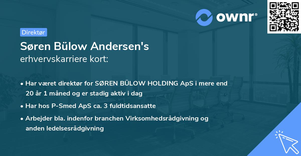 Søren Bülow Andersen's erhvervskarriere kort