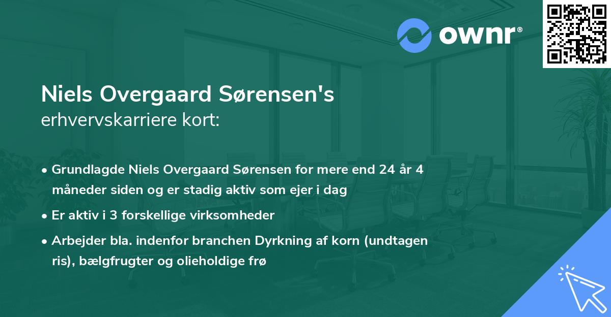 Niels Overgaard Sørensen's erhvervskarriere kort