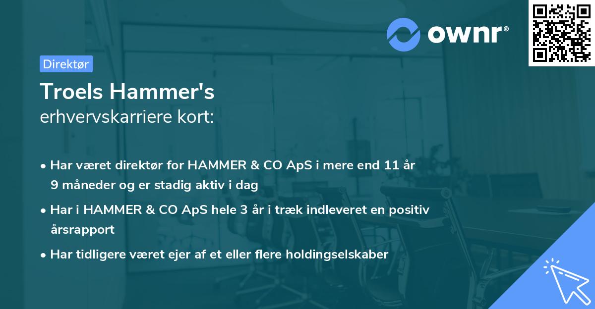 Troels Hammer's erhvervskarriere kort