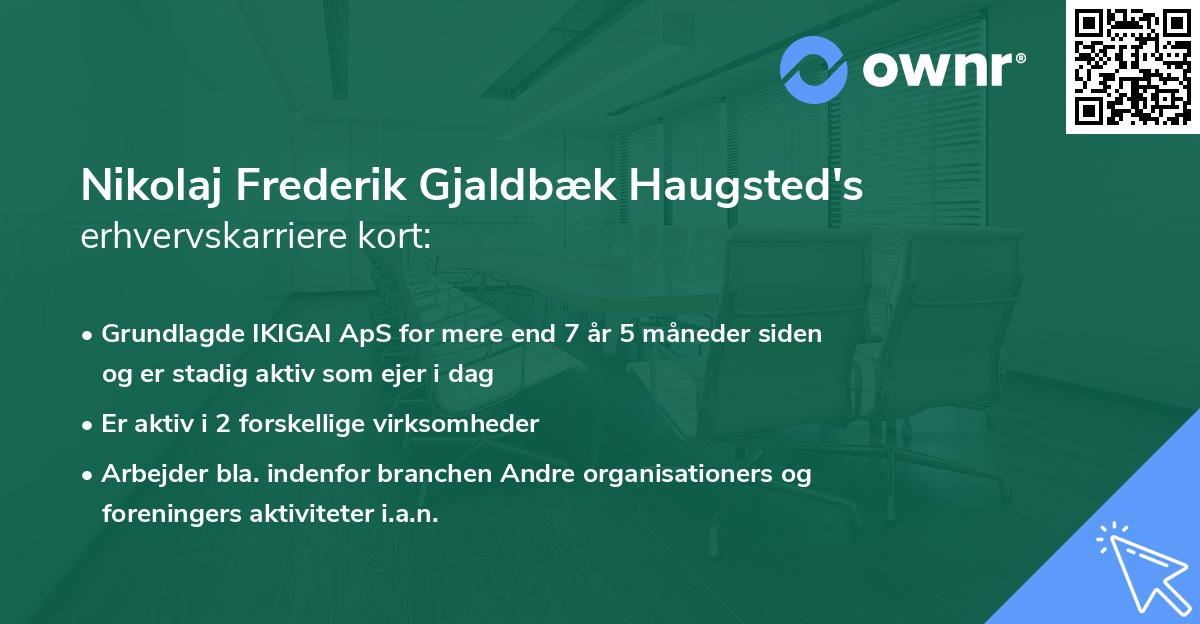 Nikolaj Frederik Gjaldbæk Haugsted's erhvervskarriere kort