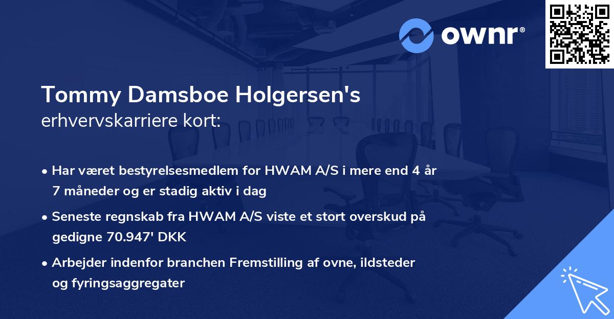 Tommy Damsboe Holgersen's erhvervskarriere kort