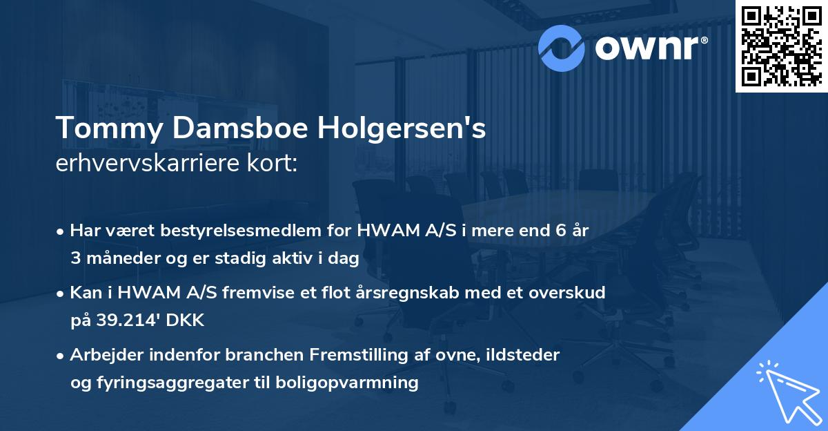Tommy Damsboe Holgersen's erhvervskarriere kort