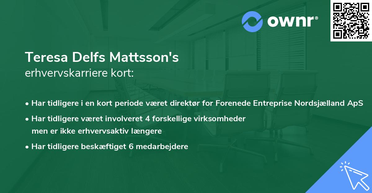 Teresa Delfs Mattsson's erhvervskarriere kort
