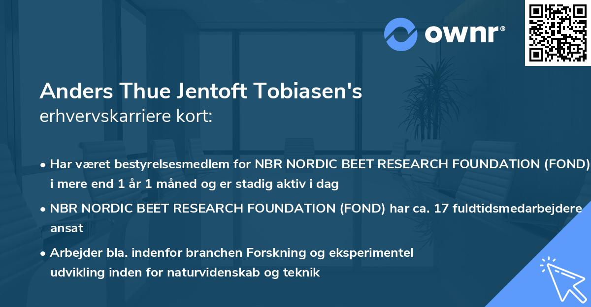 Anders Thue Jentoft Tobiasen's erhvervskarriere kort