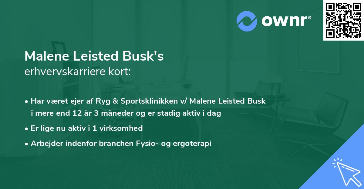 Malene Leisted Busk's erhvervskarriere kort