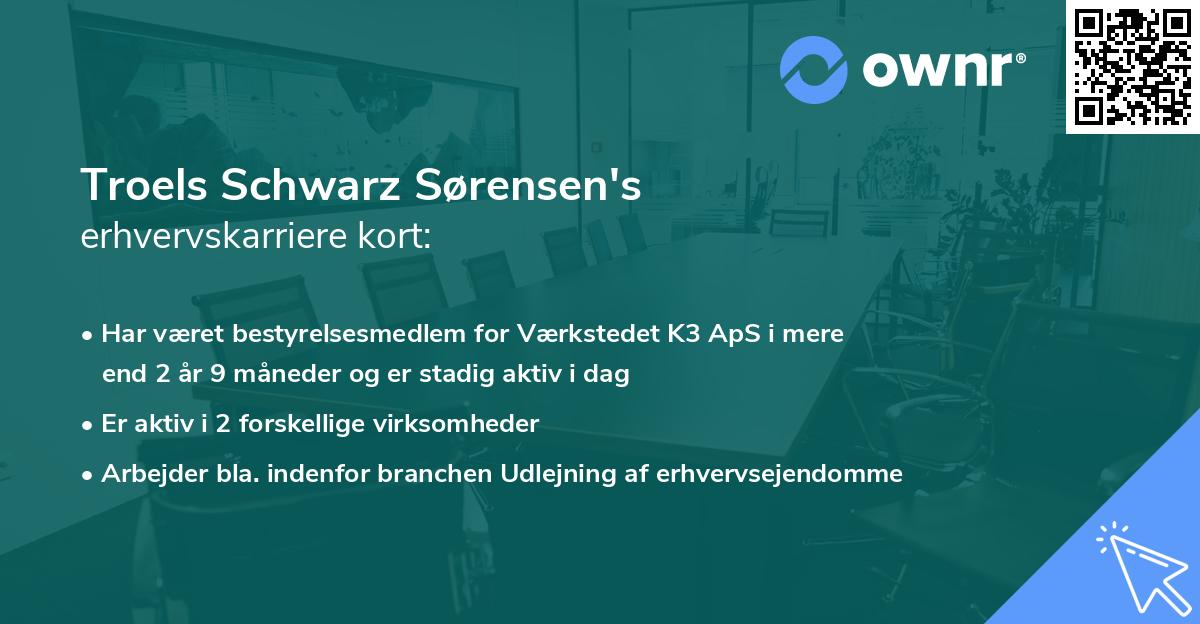 Troels Schwarz Sørensen's erhvervskarriere kort