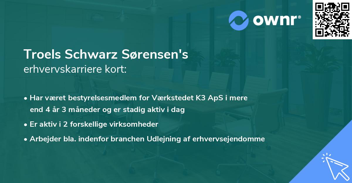 Troels Schwarz Sørensen's erhvervskarriere kort