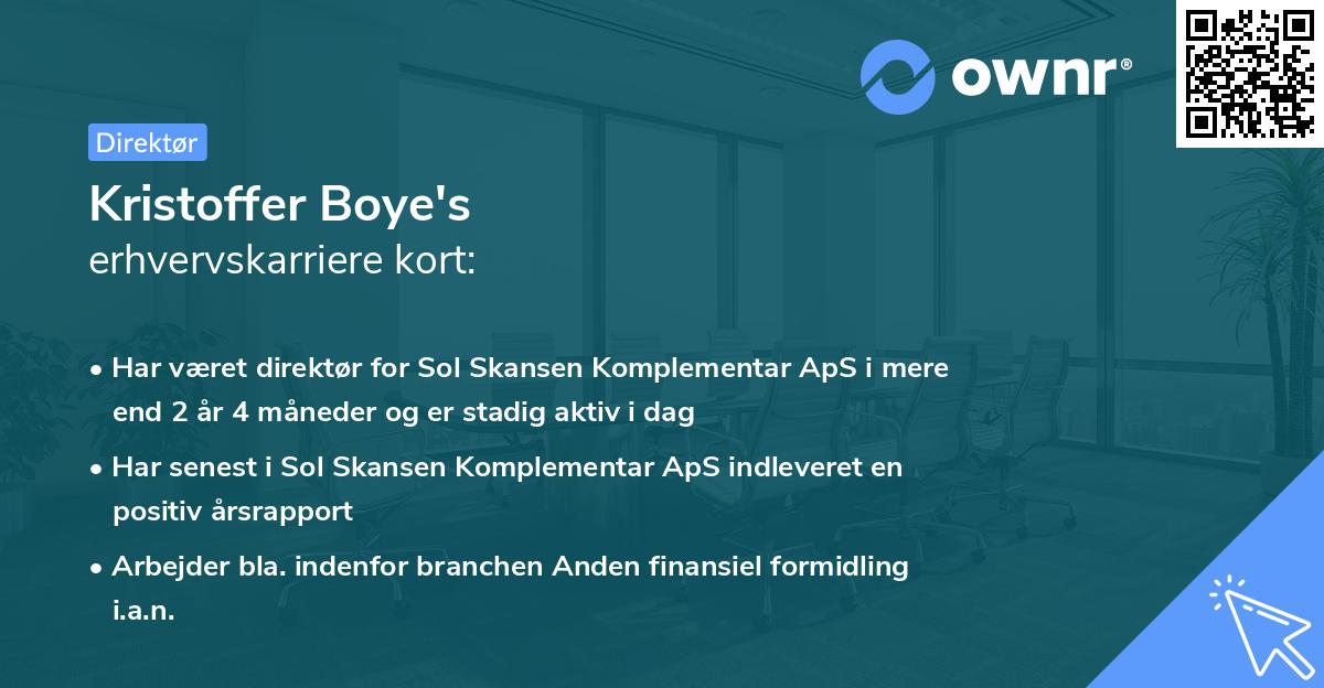 Kristoffer Boye's erhvervskarriere kort