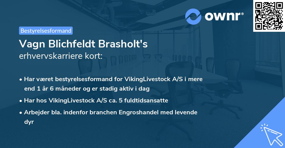 Vagn Blichfeldt Brasholt's erhvervskarriere kort