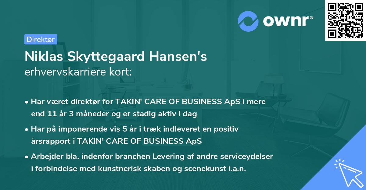 Niklas Skyttegaard Hansen's erhvervskarriere kort