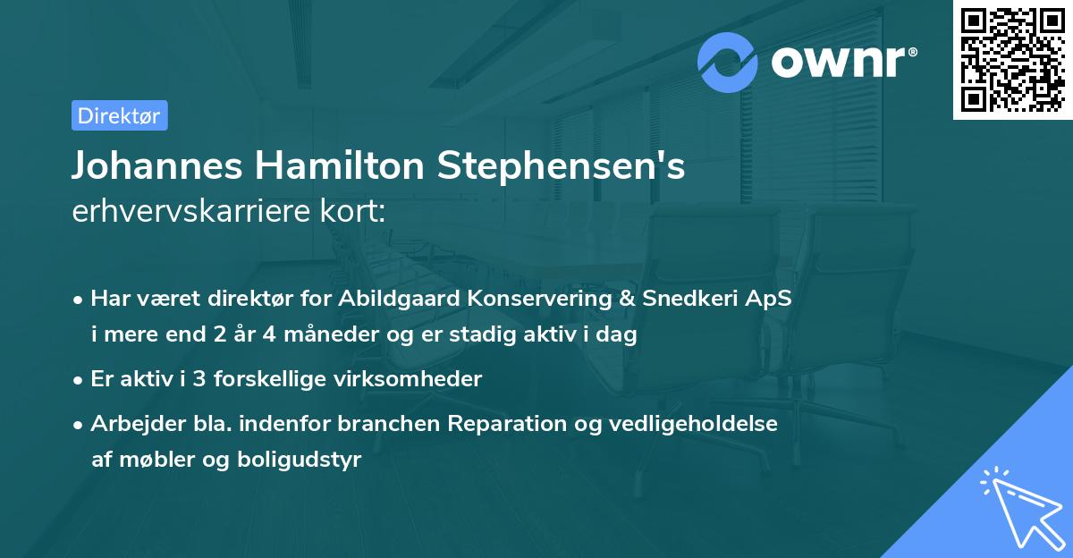 Johannes Hamilton Stephensen's erhvervskarriere kort