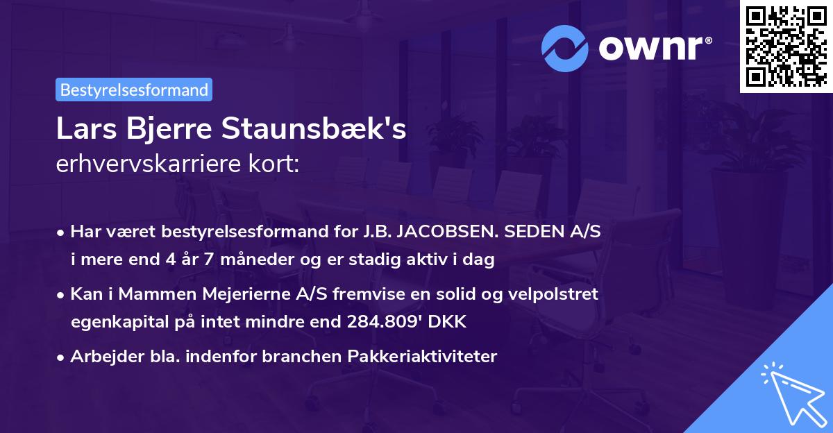 Lars Bjerre Staunsbæk's erhvervskarriere kort