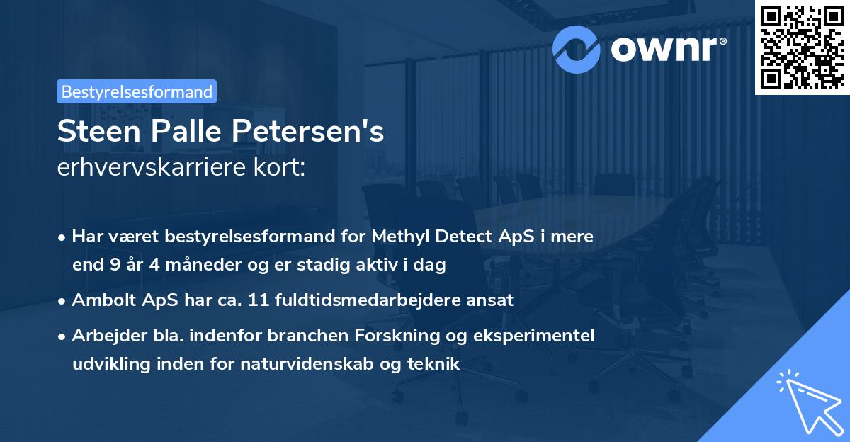 Steen Palle Petersen's erhvervskarriere kort