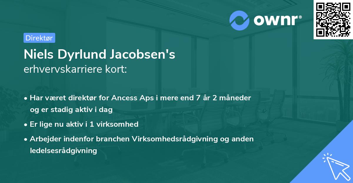 Niels Dyrlund Jacobsen's erhvervskarriere kort
