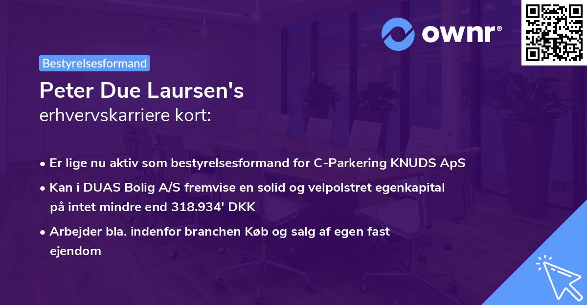 Peter Due Laursen's erhvervskarriere kort