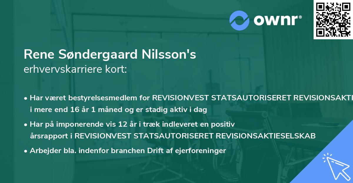 Rene Søndergaard Nilsson's erhvervskarriere kort