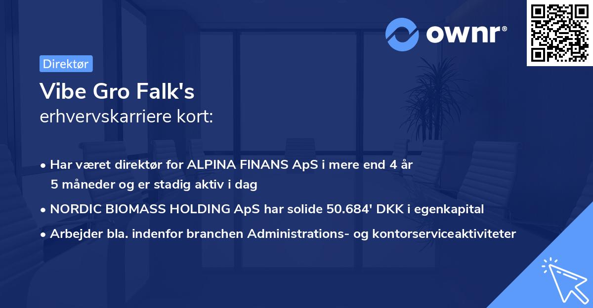 Vibe Gro Falk's erhvervskarriere kort