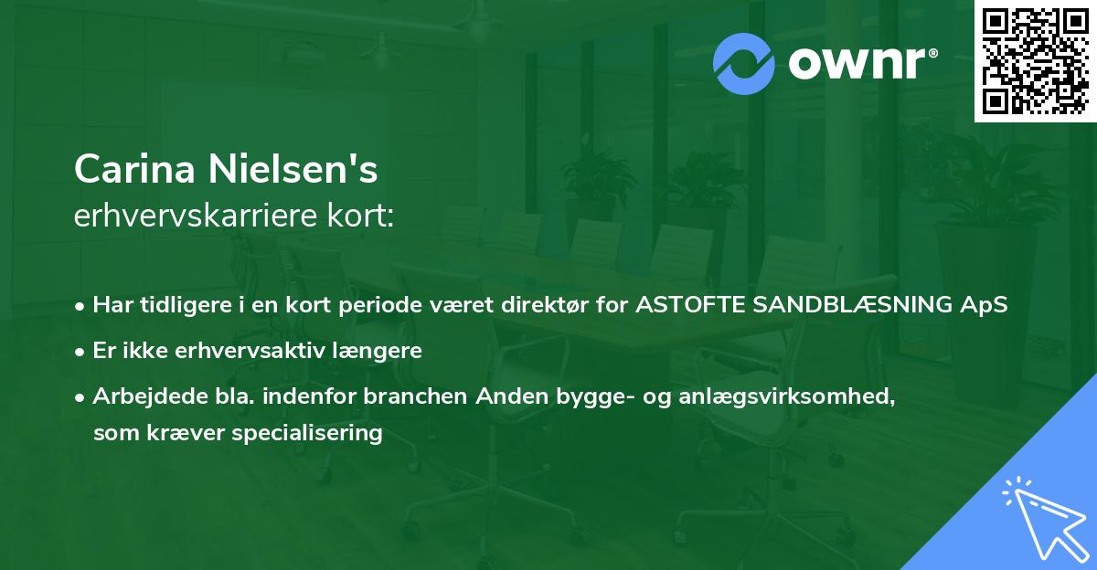 Carina Nielsen's erhvervskarriere kort