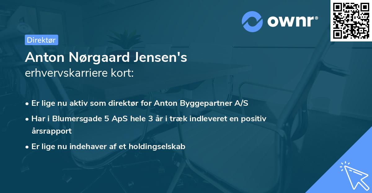 Anton Nørgaard Jensen's erhvervskarriere kort