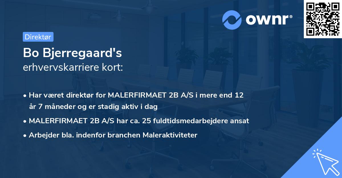 Bo Bjerregaard's erhvervskarriere kort