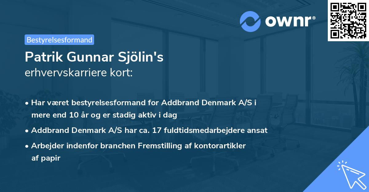 Patrik Gunnar Sjölin's erhvervskarriere kort