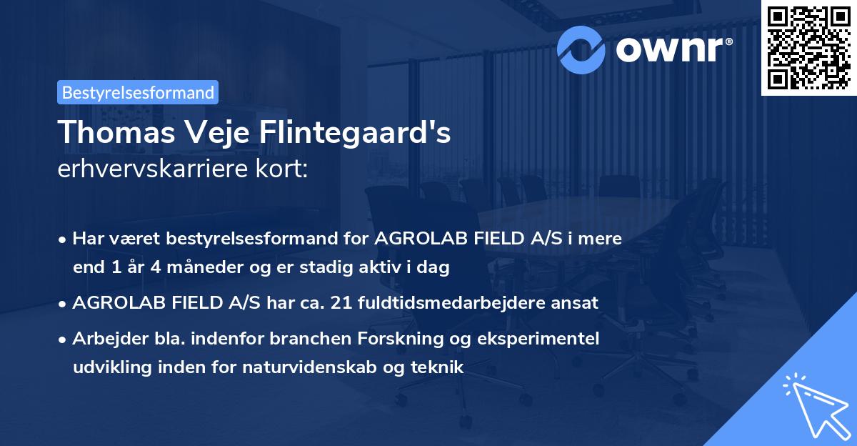 Thomas Veje Flintegaard's erhvervskarriere kort