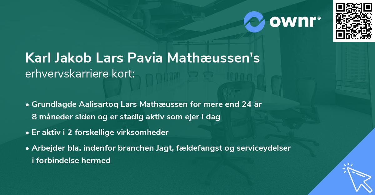 Karl Jakob Lars Pavia Mathæussen's erhvervskarriere kort