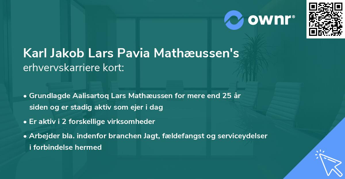 Karl Jakob Lars Pavia Mathæussen's erhvervskarriere kort