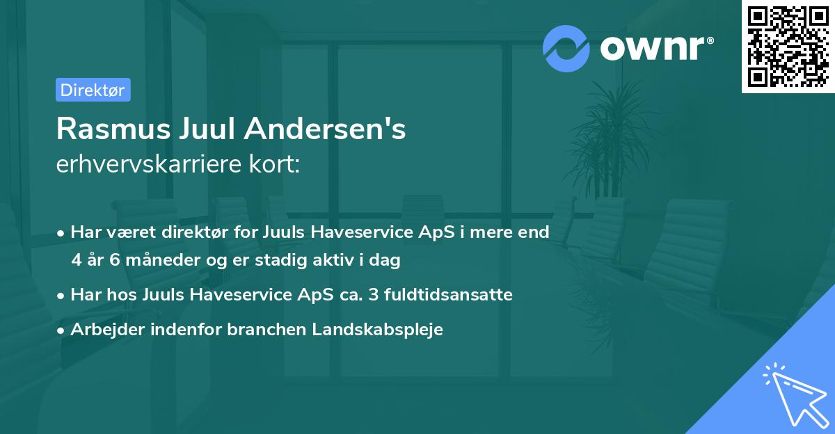 Rasmus Juul Andersen's erhvervskarriere kort