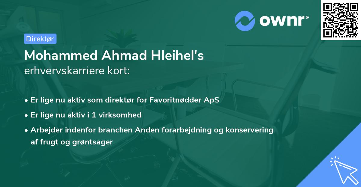 Mohammed Ahmad Hleihel's erhvervskarriere kort