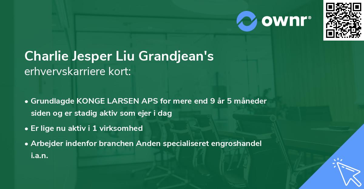 Charlie Jesper Liu Grandjean's erhvervskarriere kort