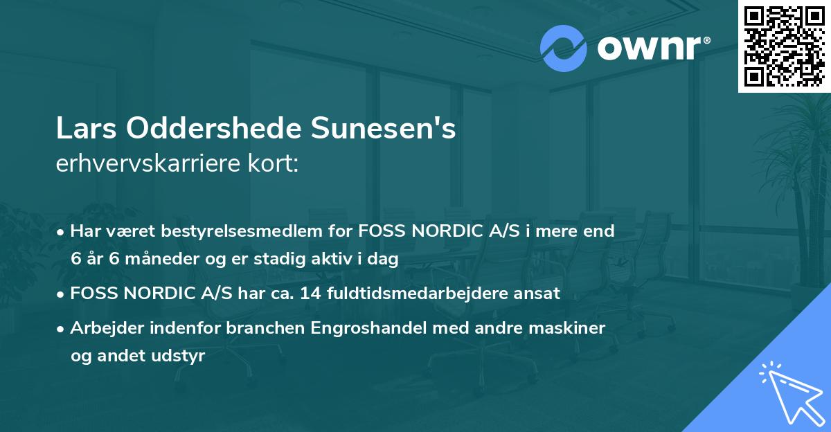 Lars Oddershede Sunesen's erhvervskarriere kort