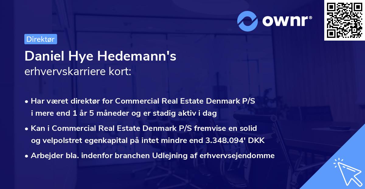 Daniel Hye Hedemann's erhvervskarriere kort