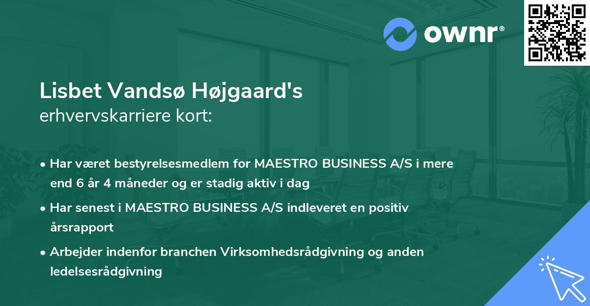 Lisbet Vandsø Højgaard's erhvervskarriere kort