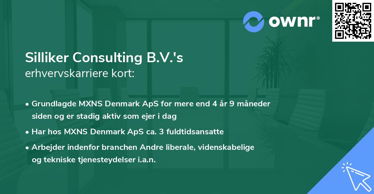 Silliker Consulting B.V.'s erhvervskarriere kort