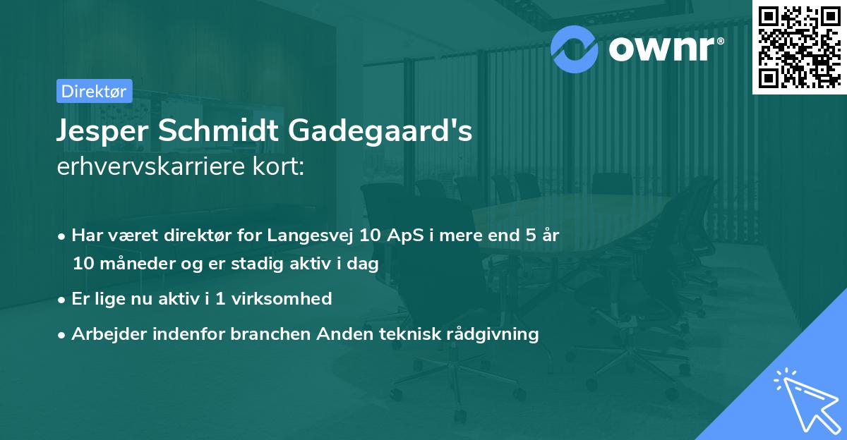 Jesper Schmidt Gadegaard's erhvervskarriere kort
